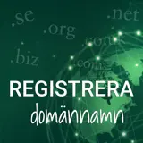 Domännamn
